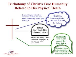 Trichotomy of Christ’s True Humanity Related to His Physical Death.png